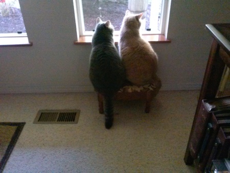 Jupiter and Thomas