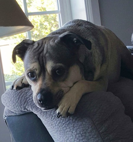 Jax