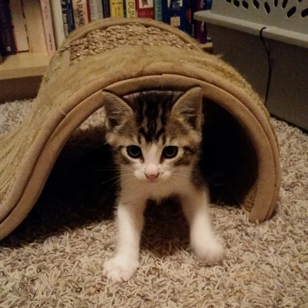 Jack