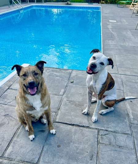 Rodney & Enzo