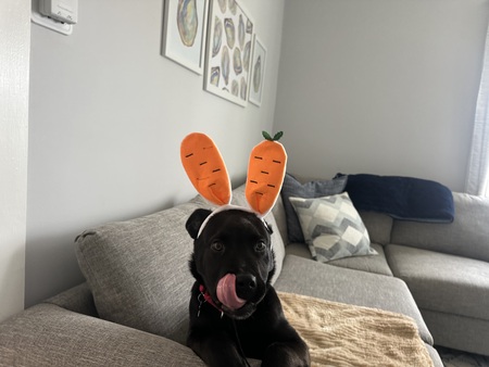 Sam