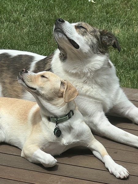 Rafa & Norm