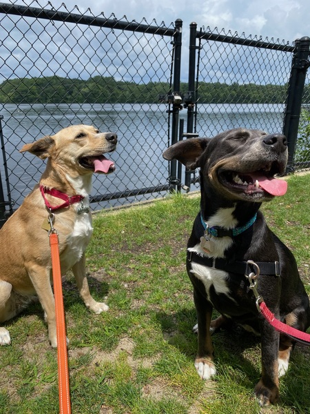 Ozzie and Luna