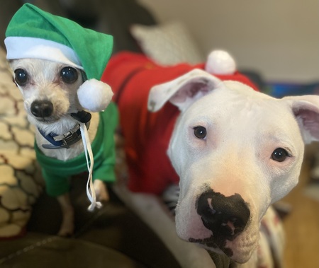 Cricket & Lennox 