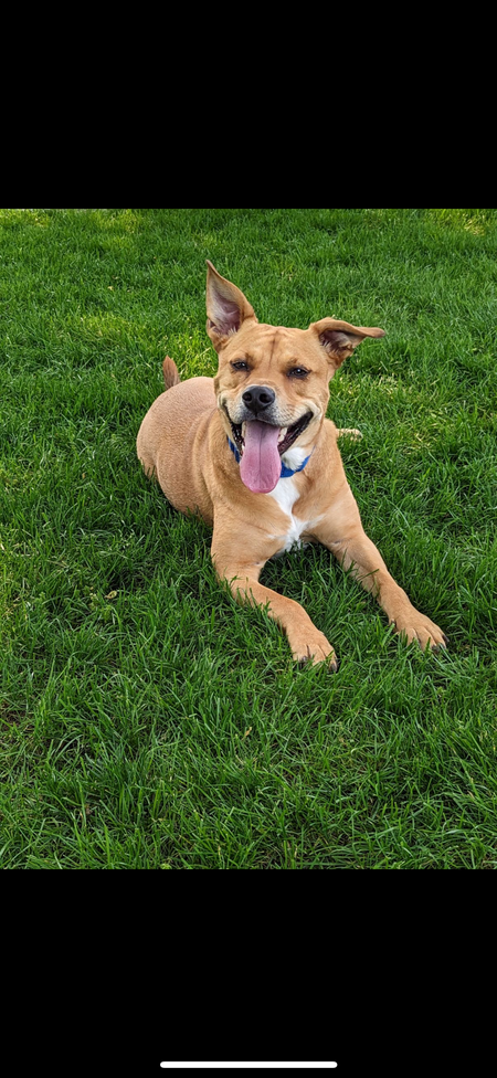 Jake