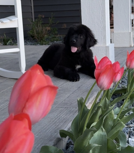 Tilly