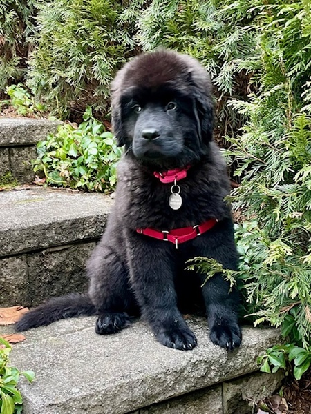 Lucy