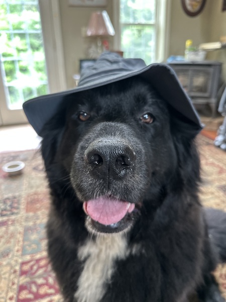 Matilda