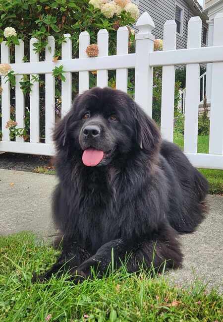Sweet Beulah 