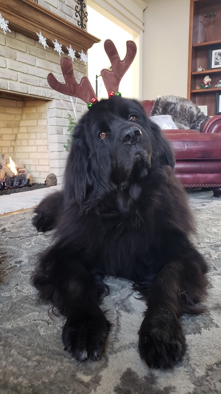 Zeus