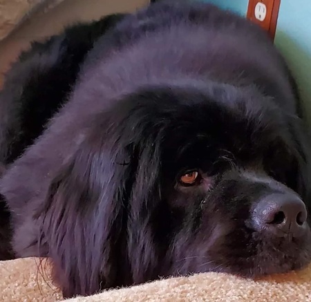 Maggie