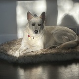 Entry image for Zoe