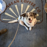 Entry image for Leah