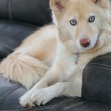 Entry image for Chloe