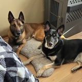 Entry image for Finn & Shane 