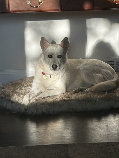 Entry image for Zoe. Clicking this image will show a larger photo