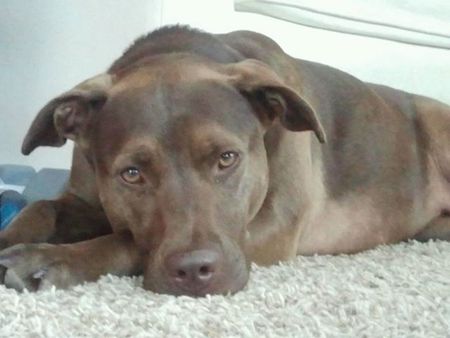 Bailey