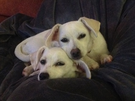 Maddie and Grace