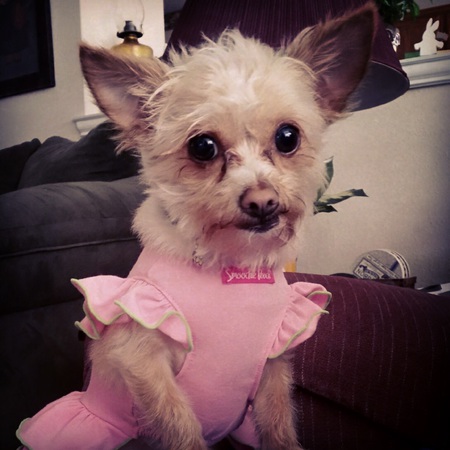 Lucy