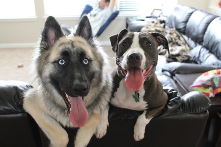 Tess and Ellie