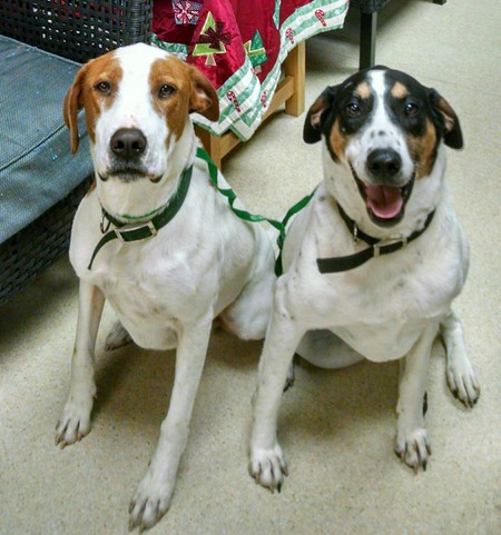 Wyatt and Mia