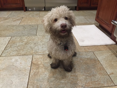 Bentley(known as Rivers at AAR)