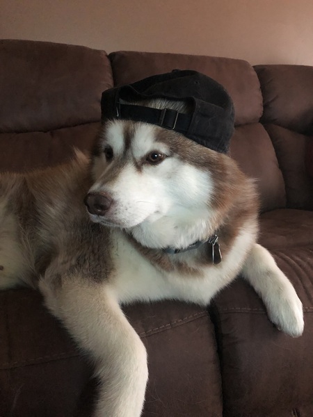 Max