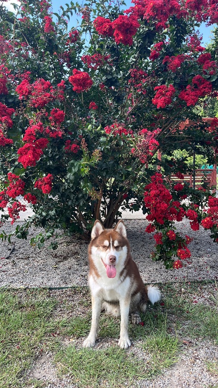 Kenai Hernandez