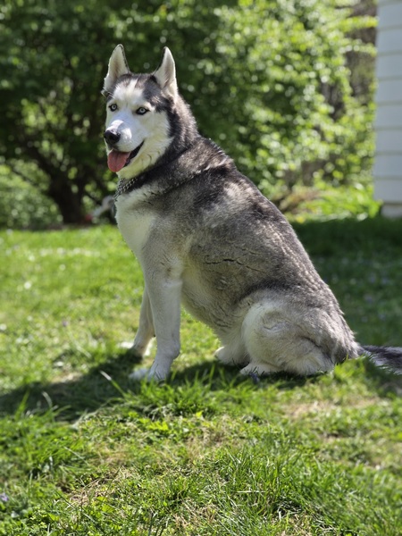 Max