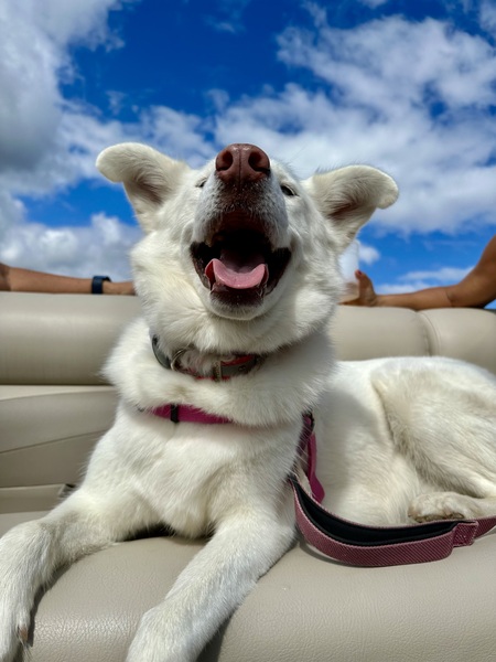 Lola