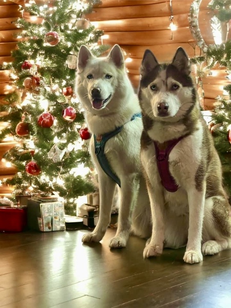 Hondo and Rory 
