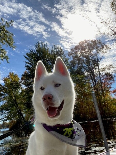Bruno