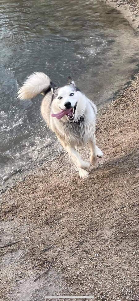 Skye