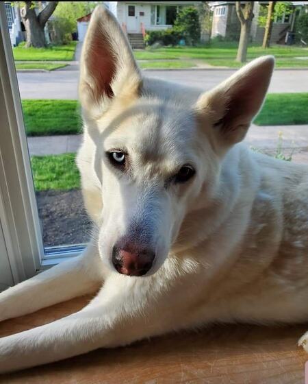 Kona