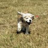 Entry image for Emmitt