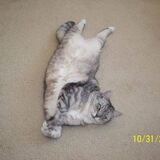 Entry image for Tammy