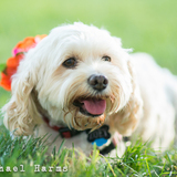 Entry image for Zoey