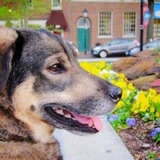 Entry image for Sophie