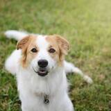 Entry image for Annabelle