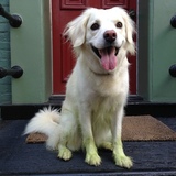 Entry image for Annie