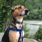 Entry image for Luna