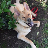 Entry image for Denver Pasternack