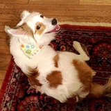 Entry image for Mokka