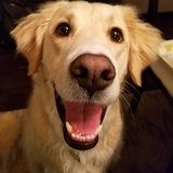 Entry image for Norman