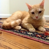 Entry image for Eyva