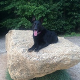 Entry image for Shayla