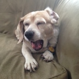 Entry image for Lili