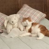 Entry image for Prince Charles Wilson Skarlatos