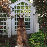 Entry image for Dewey