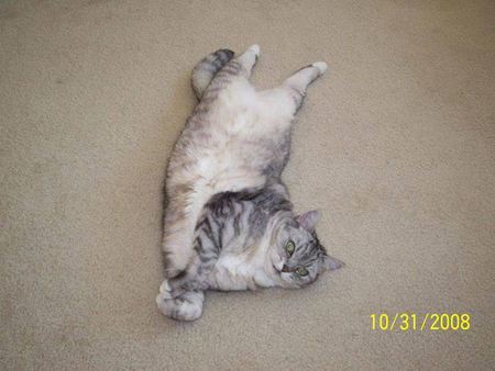 Entry image for Tammy. Clicking this image will show a larger photo